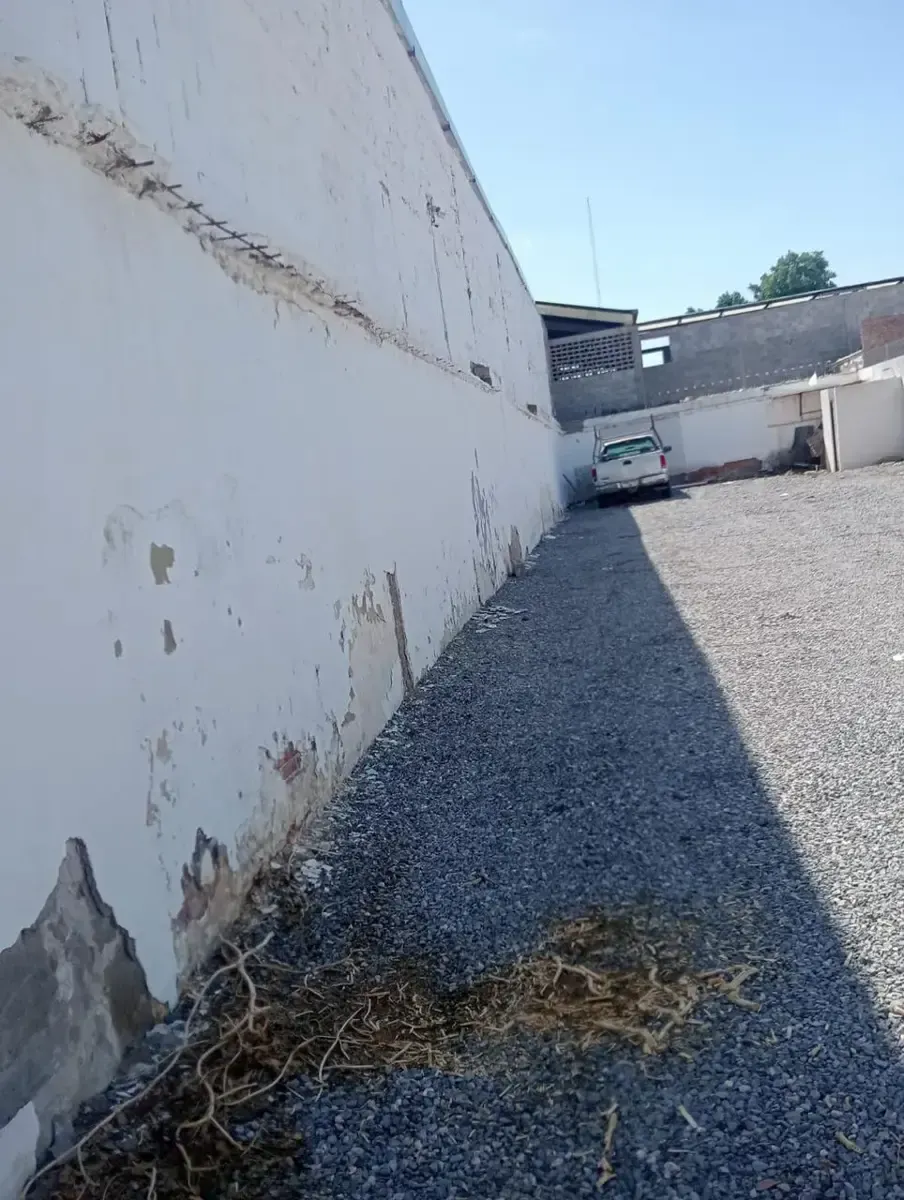 Terreno Spot2