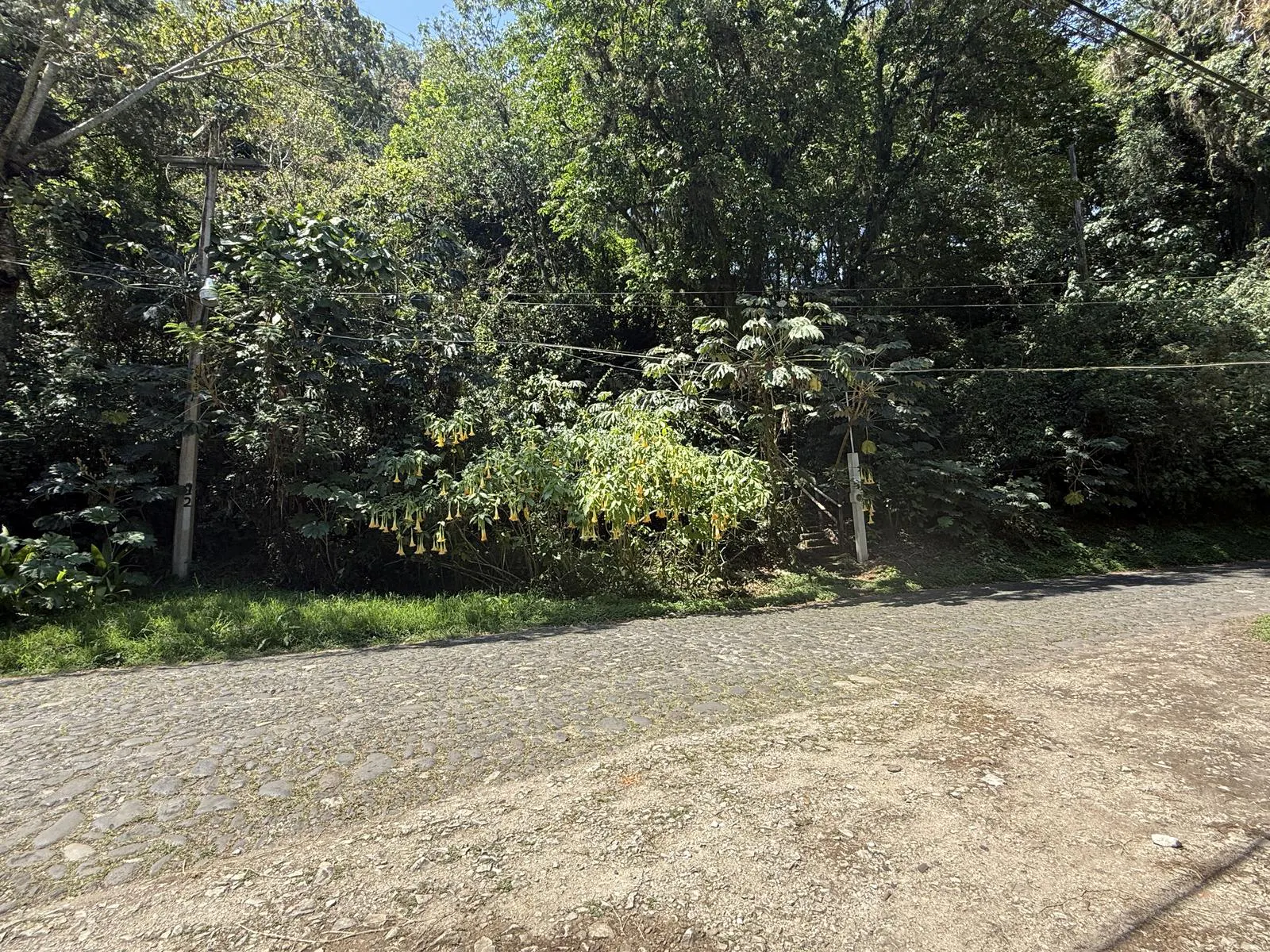 Terreno Spot2