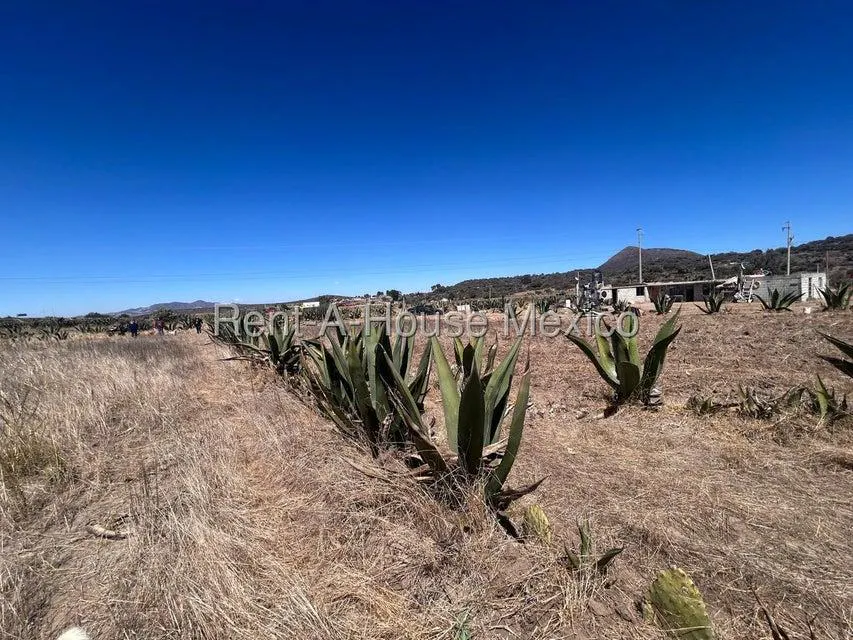 Terreno Spot2