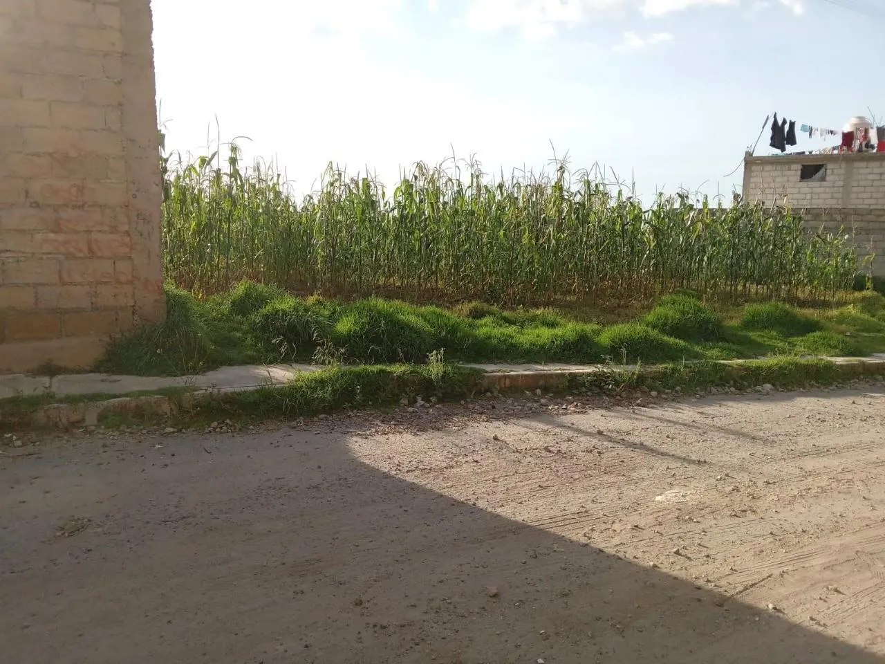 Terreno Spot2