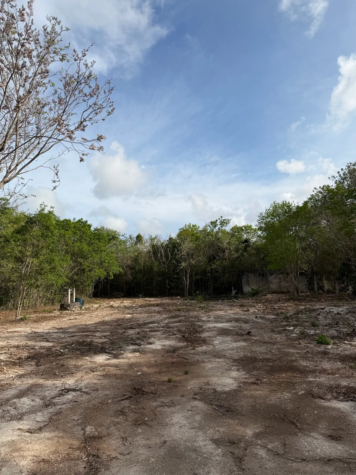 Terreno Spot2