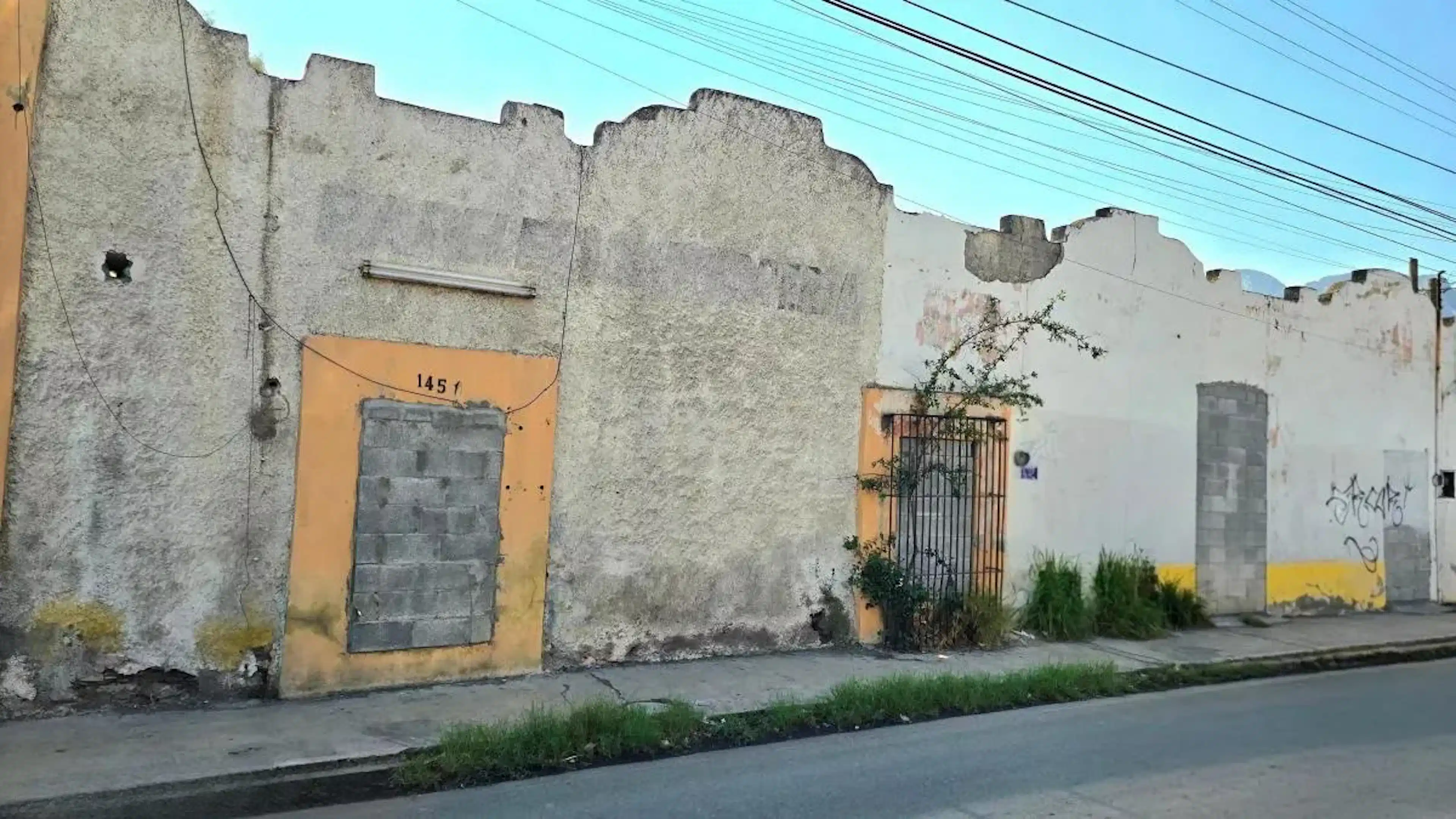 Girasoles