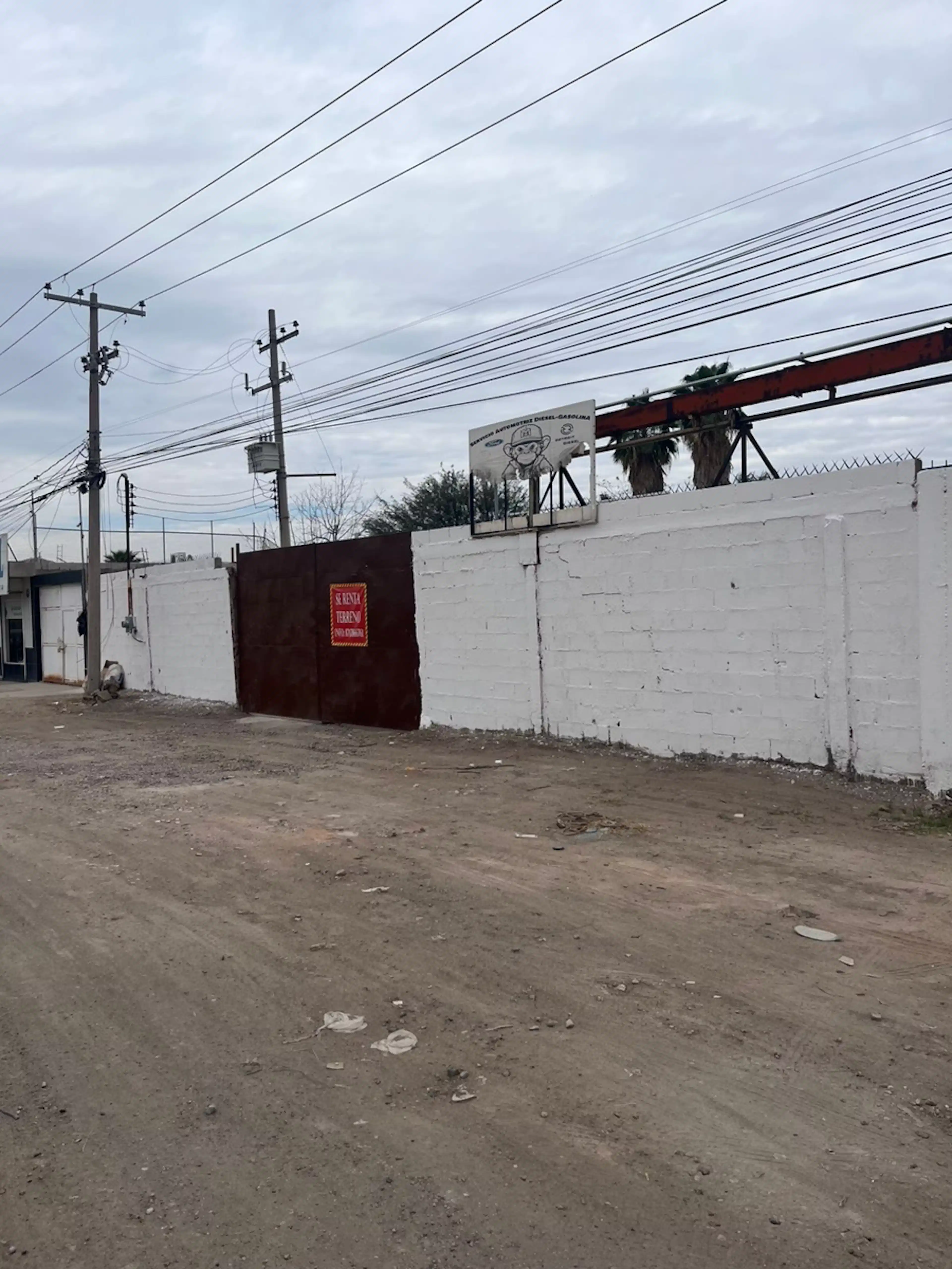 Terreno En Renta En Primavera, Gómez Palacio, Durango