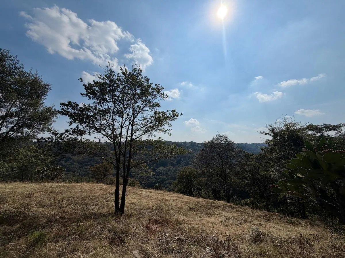 Terreno Spot2