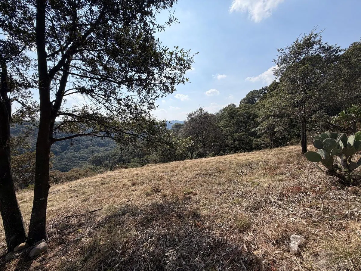 Terreno Spot2