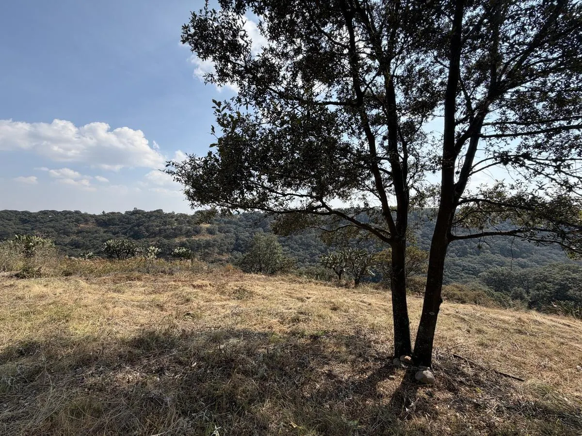 Terreno Spot2