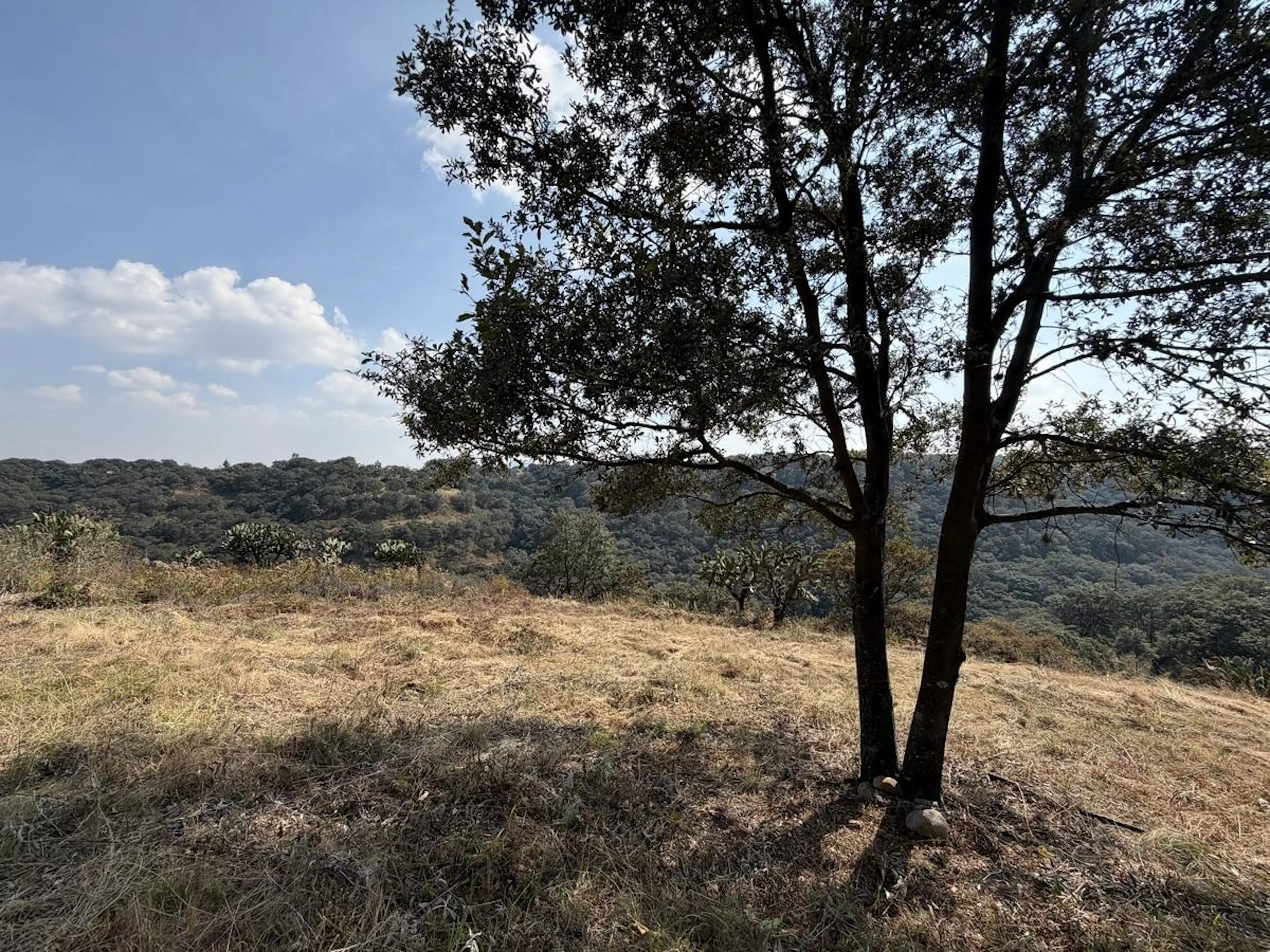 VENTA DE TERRENO EN FRACC. RESID. CAMPESTRE LT 110, MZ 11, DE VILLA DEL CARBÓN