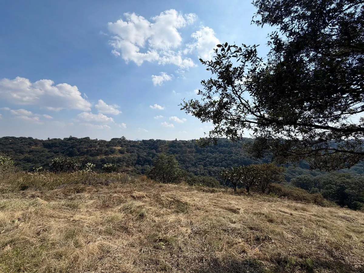 Terreno Spot2