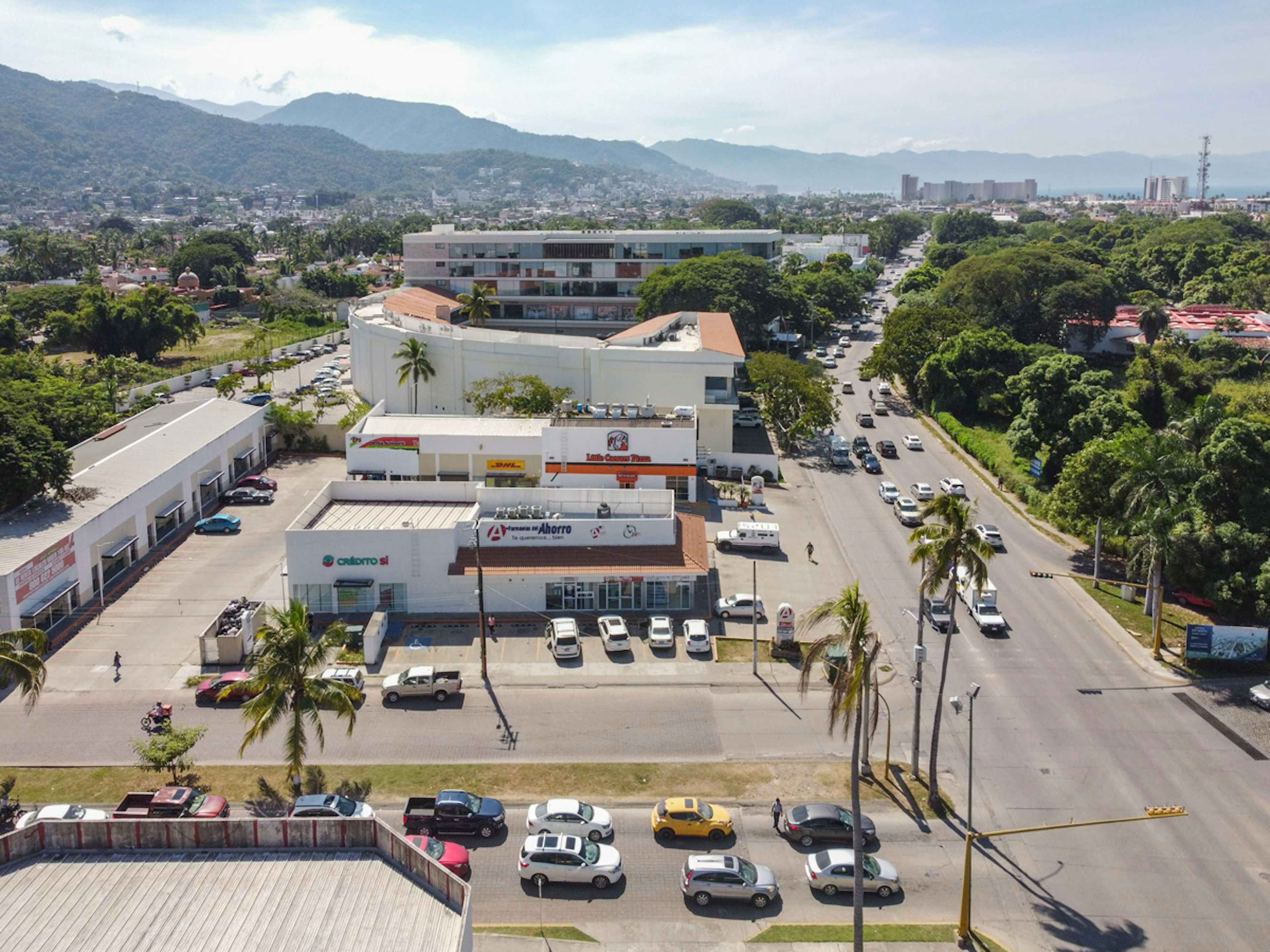 Gaviotas Puerto Vallarta
