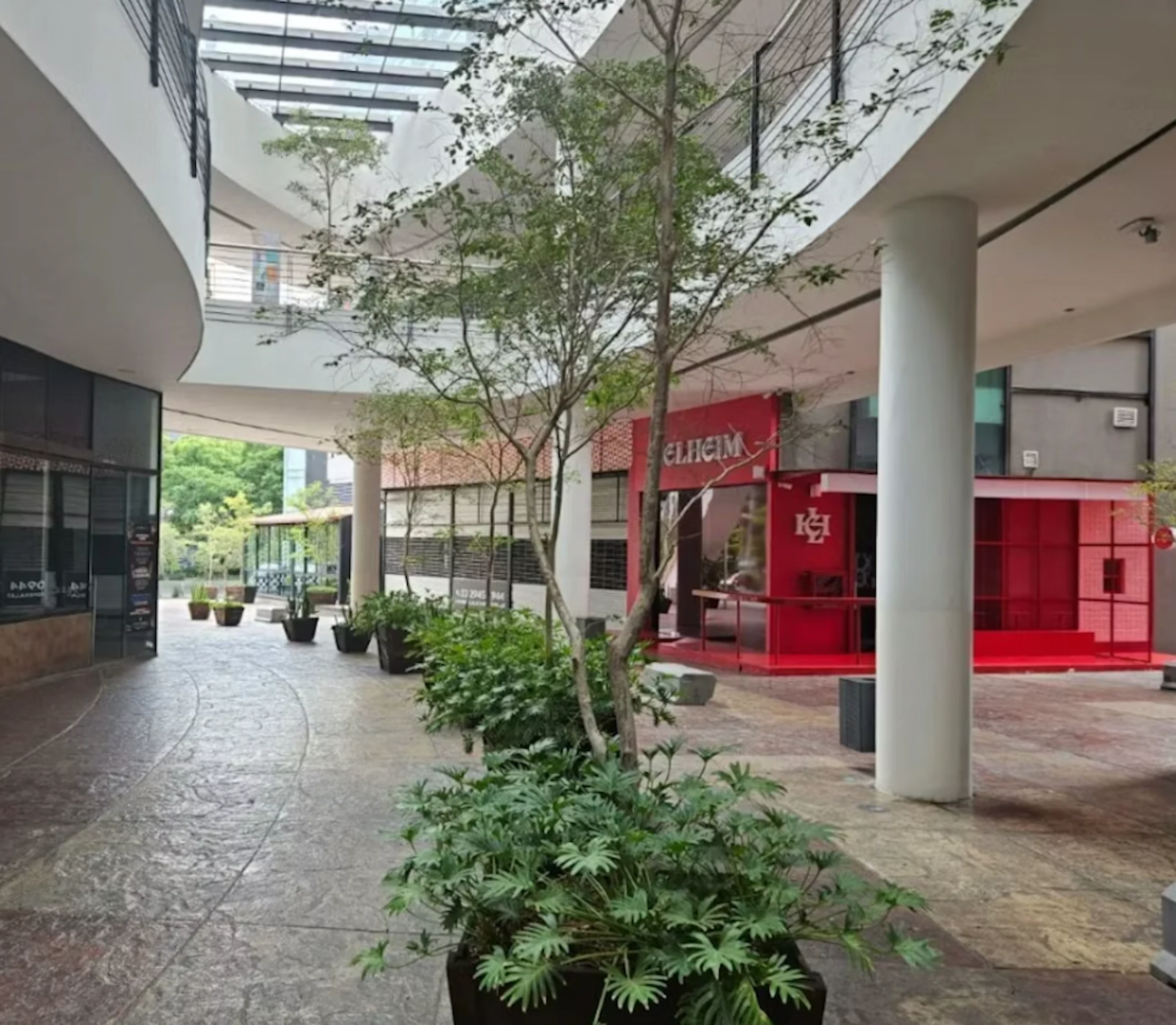 Lc 31 Y 32 Y R-13-photo