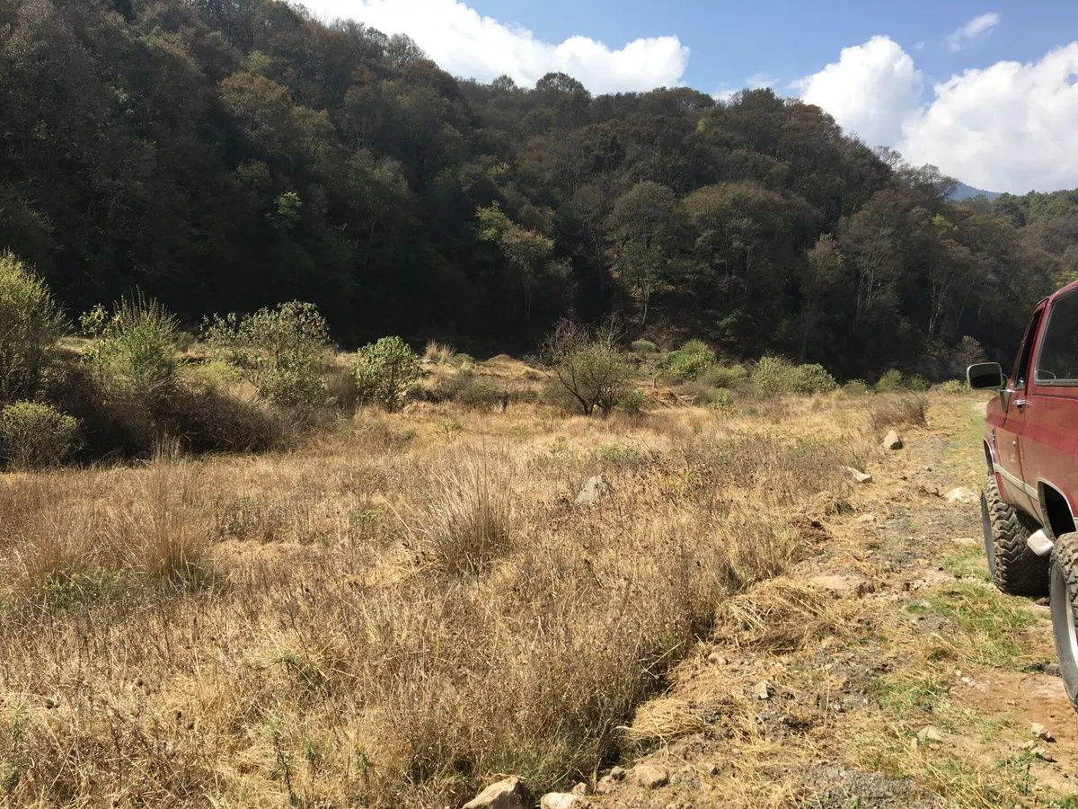 Terreno Spot2