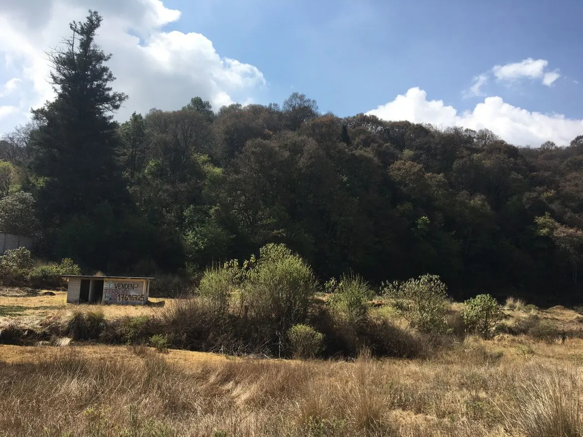 Terreno Spot2