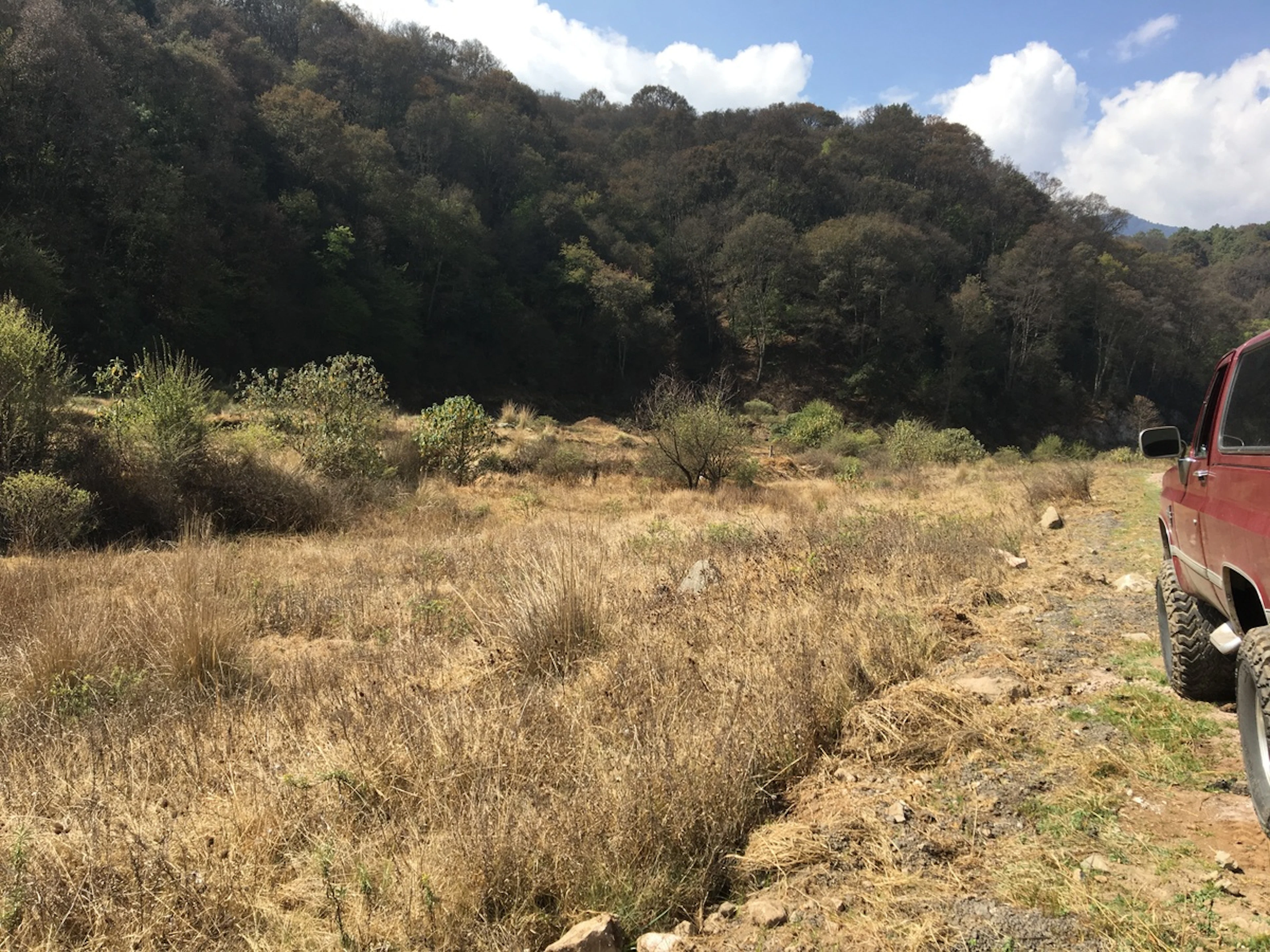 Terreno Spot2