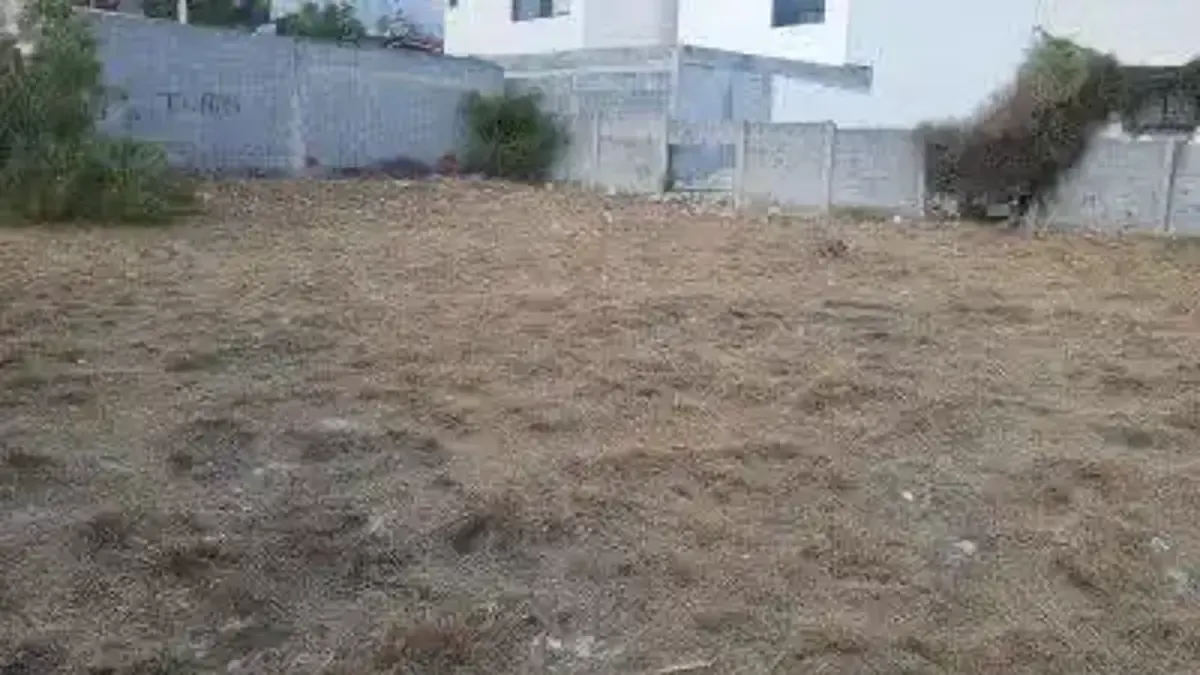 Terreno Spot2