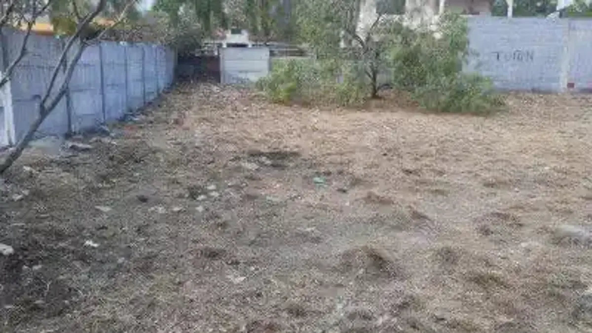 Terreno Spot2