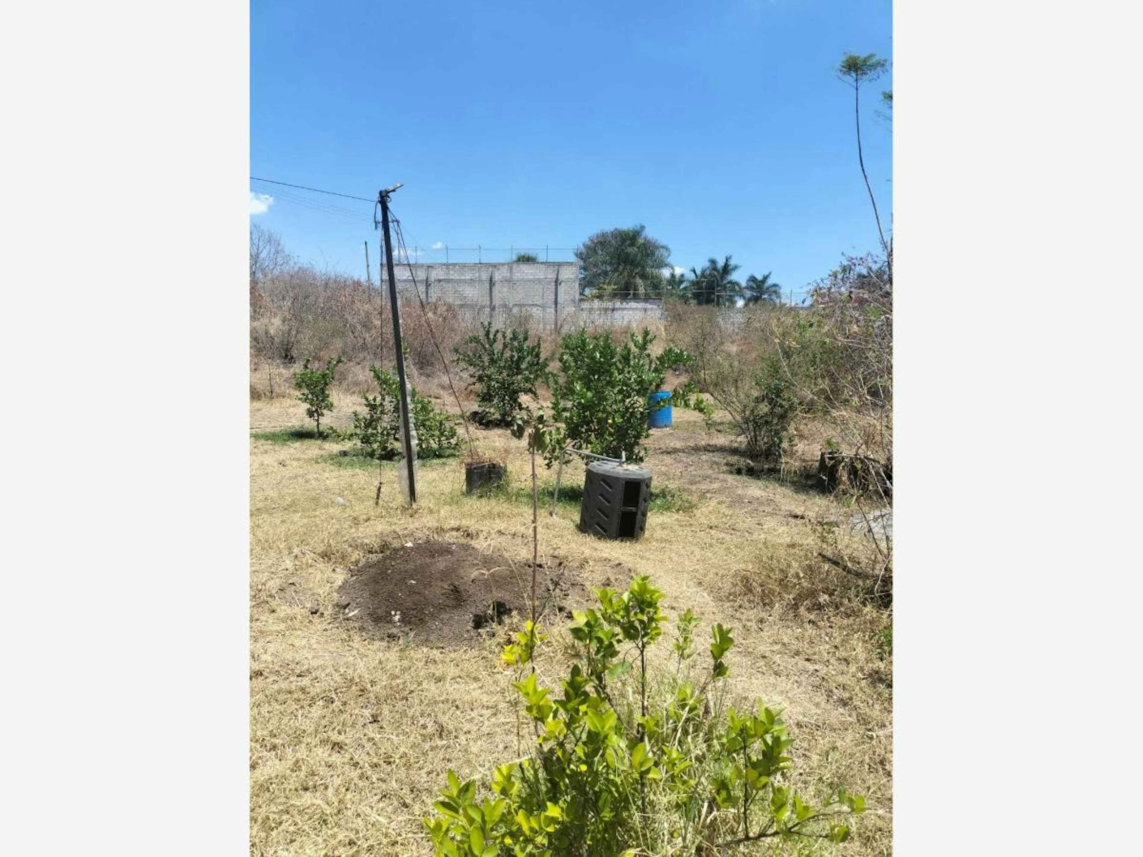 Terreno En Venta En Amates De Oaxtepec, Yautepec, Morelos