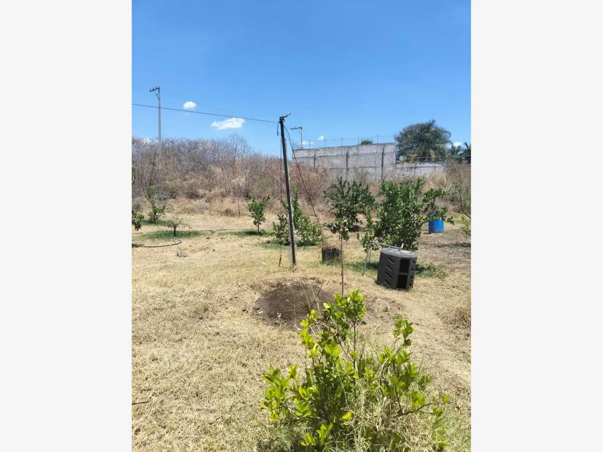 Terreno Spot2