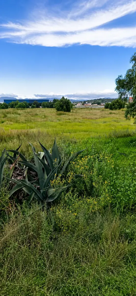 Terreno Spot2