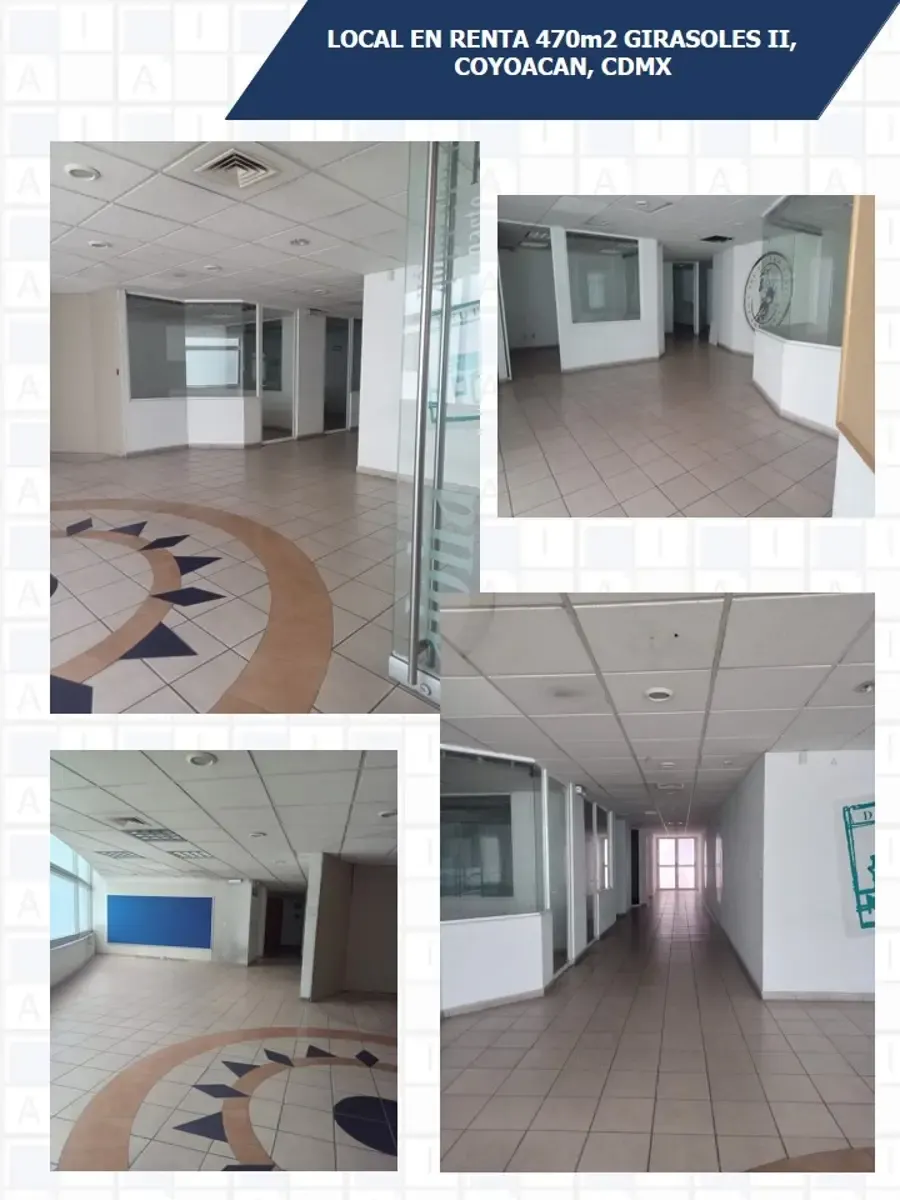Local Comercial Spot2