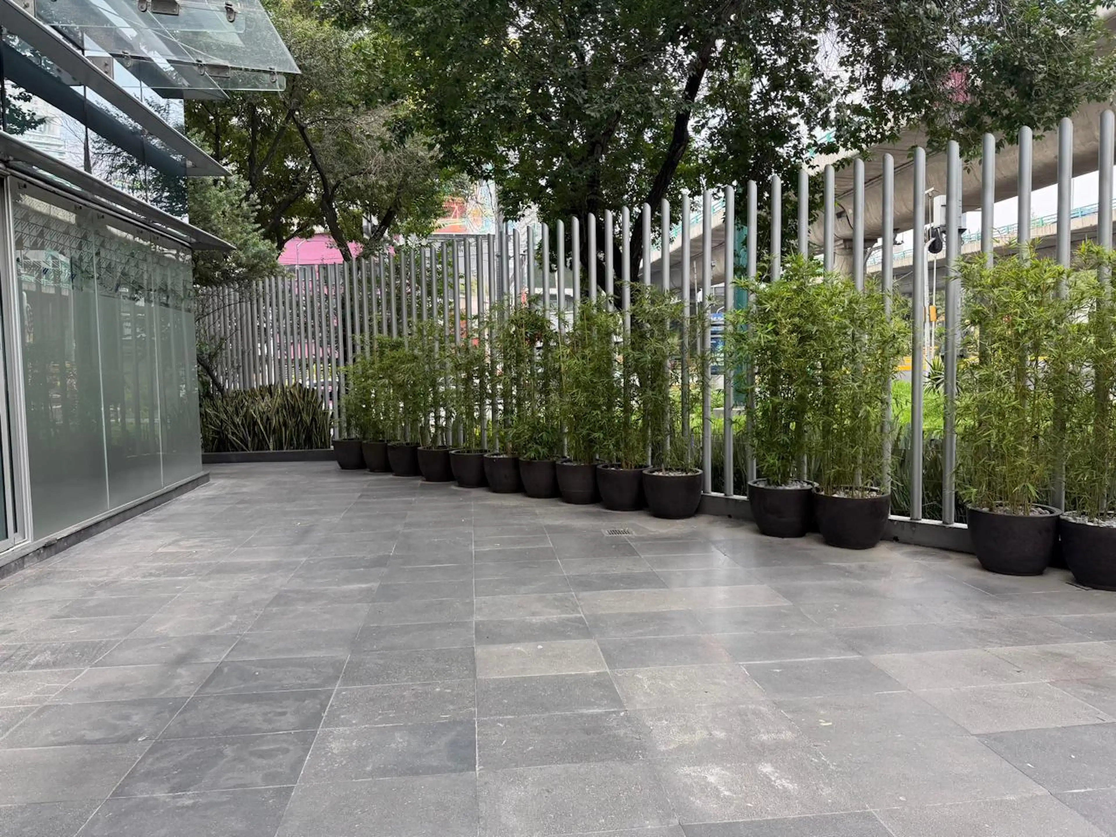 Local Con Terraza Renta A Pie De Calle En Corporativo Benito Juarez 257m2 S/n