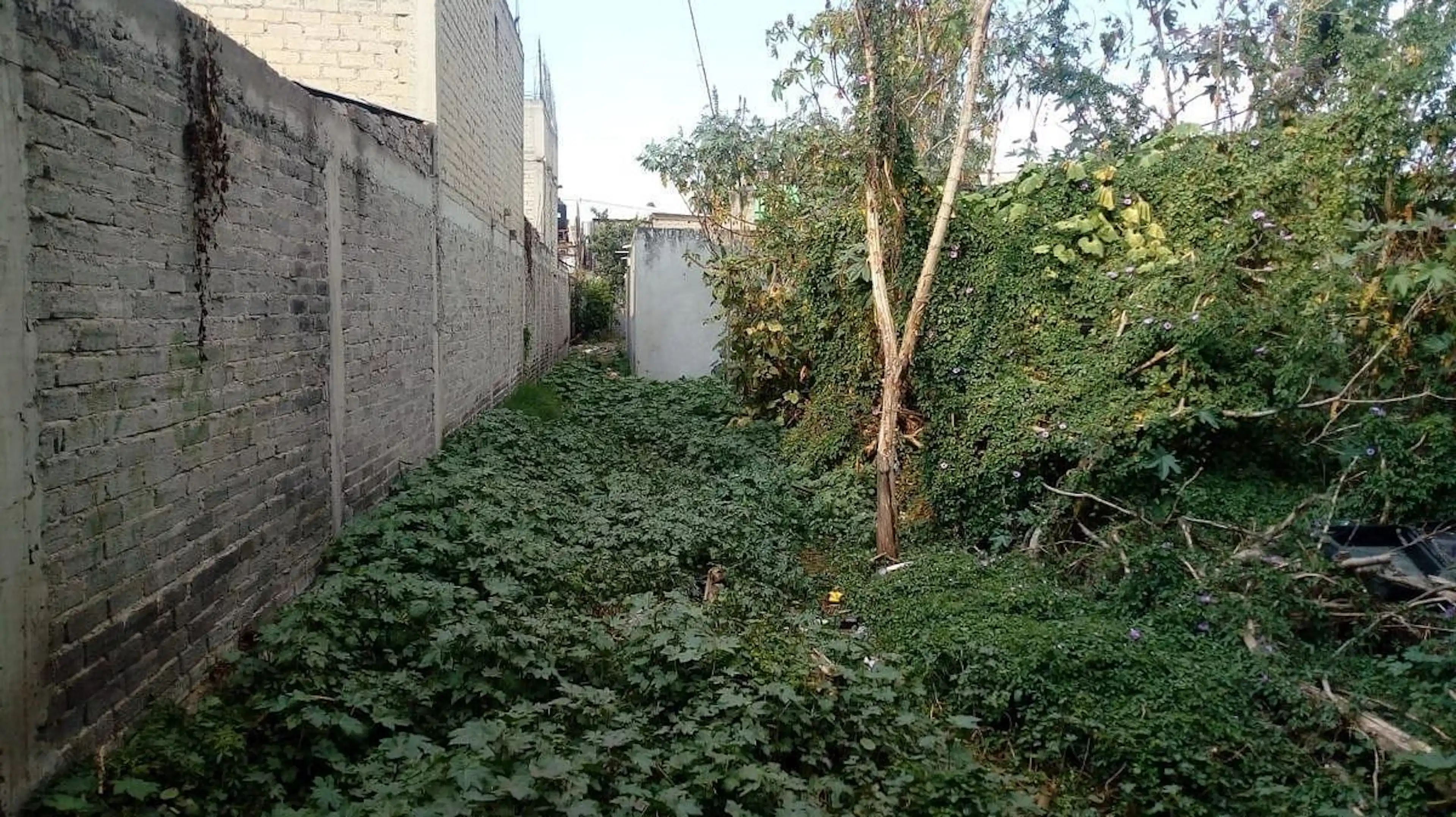 Terreno En Venta En La Colonia Quirino Mendoza