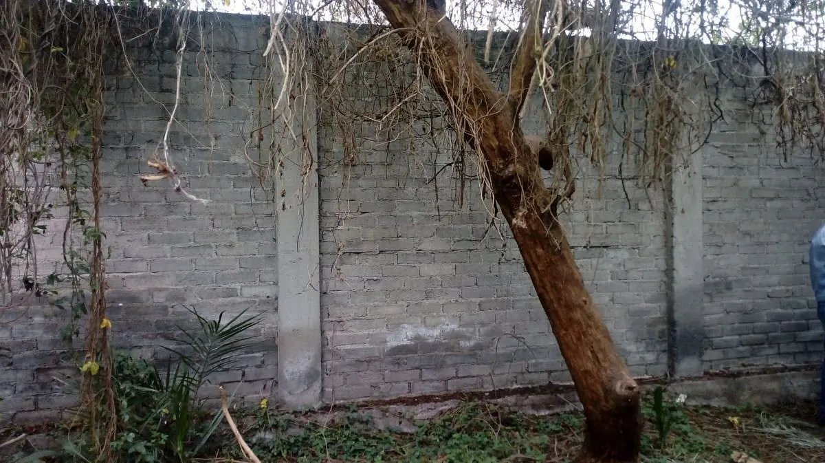 Terreno Spot2