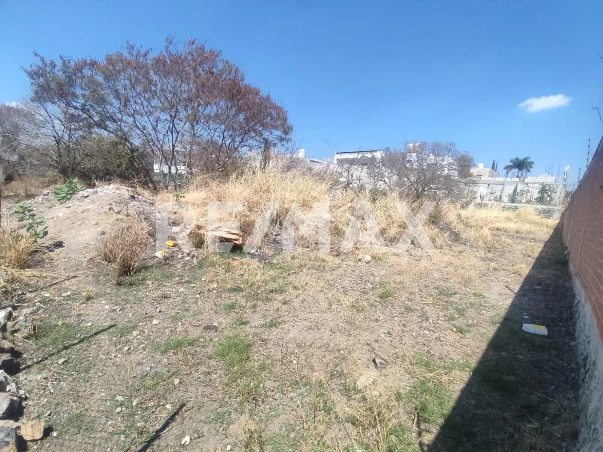 Terreno Spot2