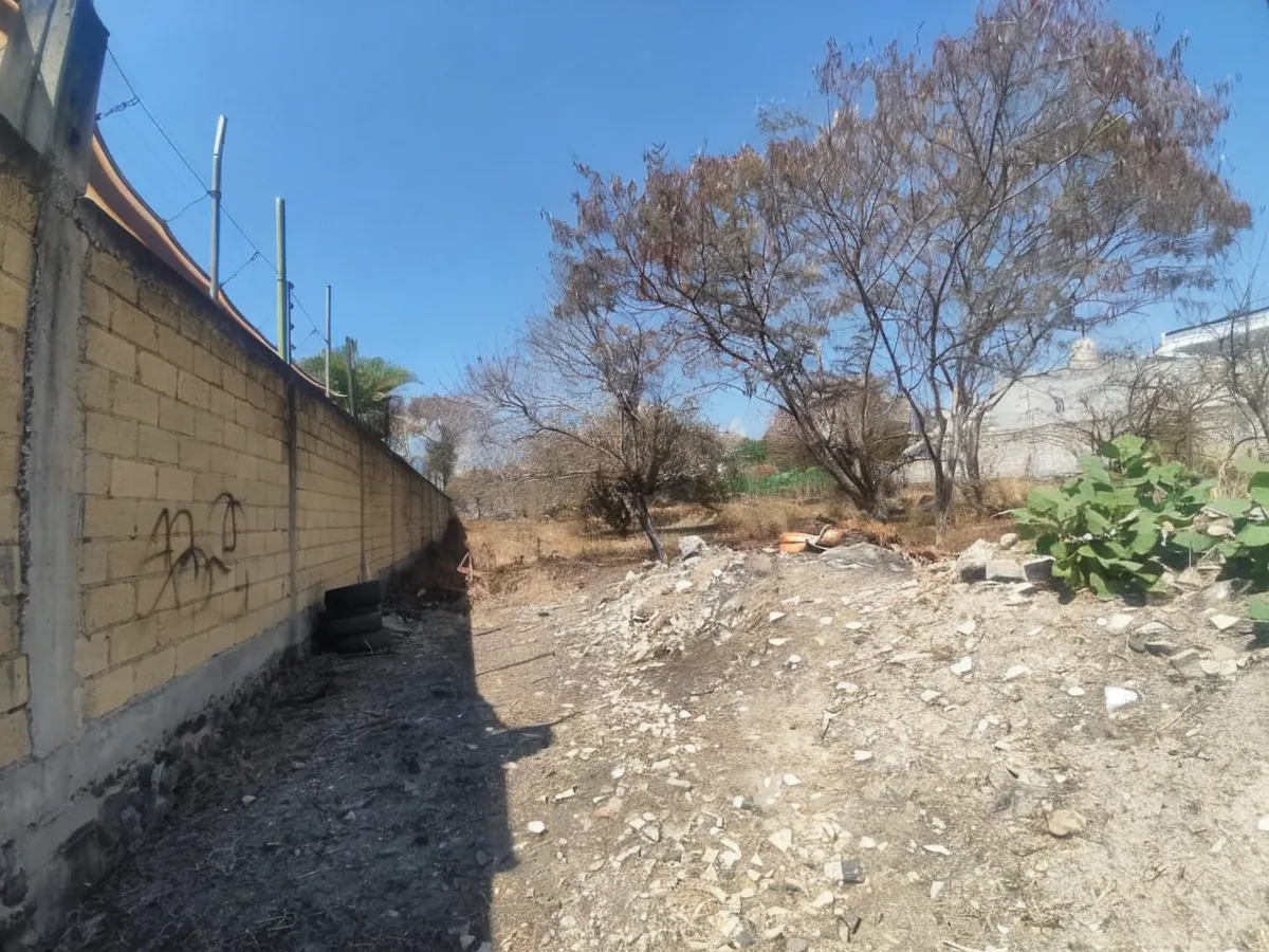 Terreno Spot2