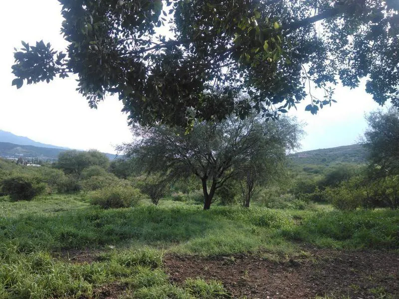 Terreno Spot2