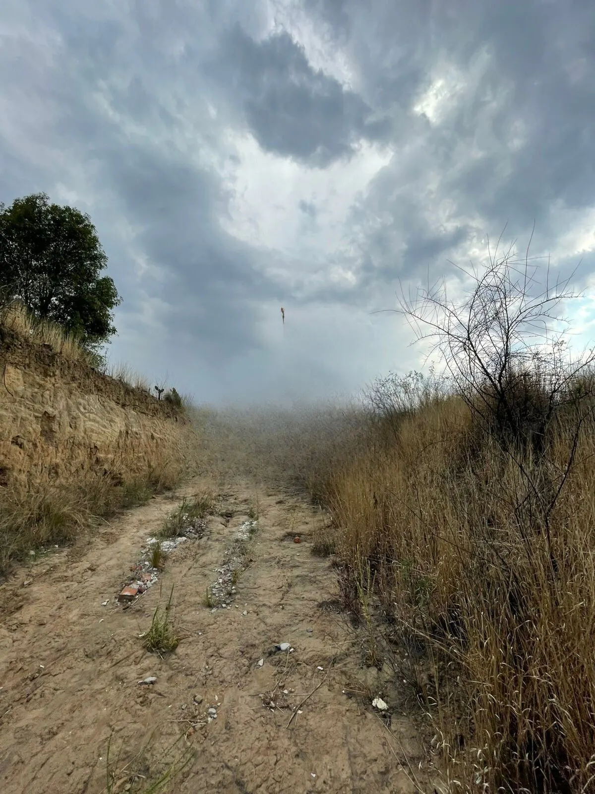 Terreno Spot2
