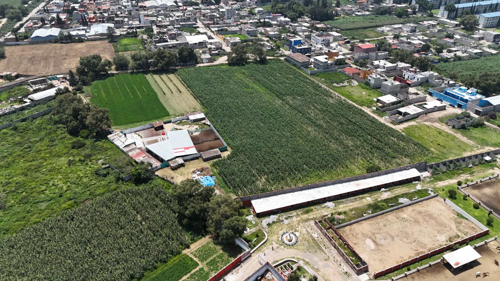 Terreno Spot2