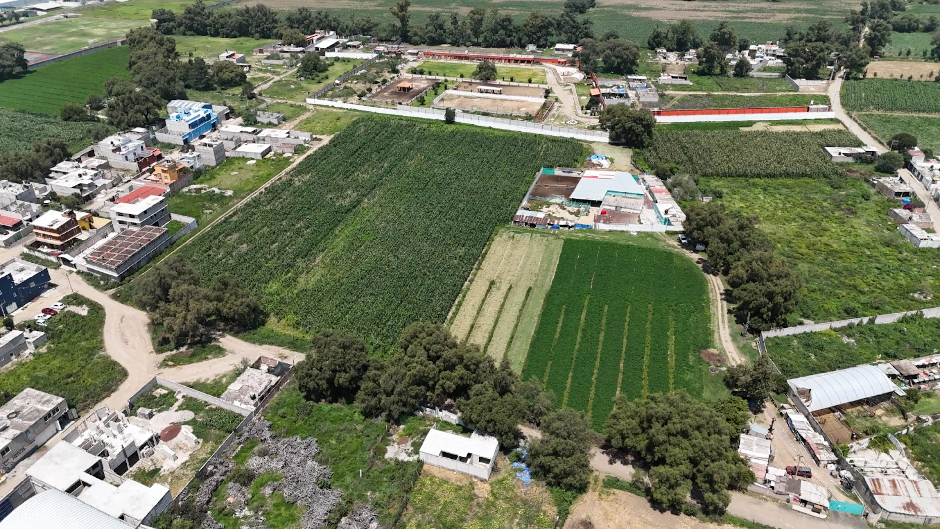 Cerrada Abelardo Domínguez