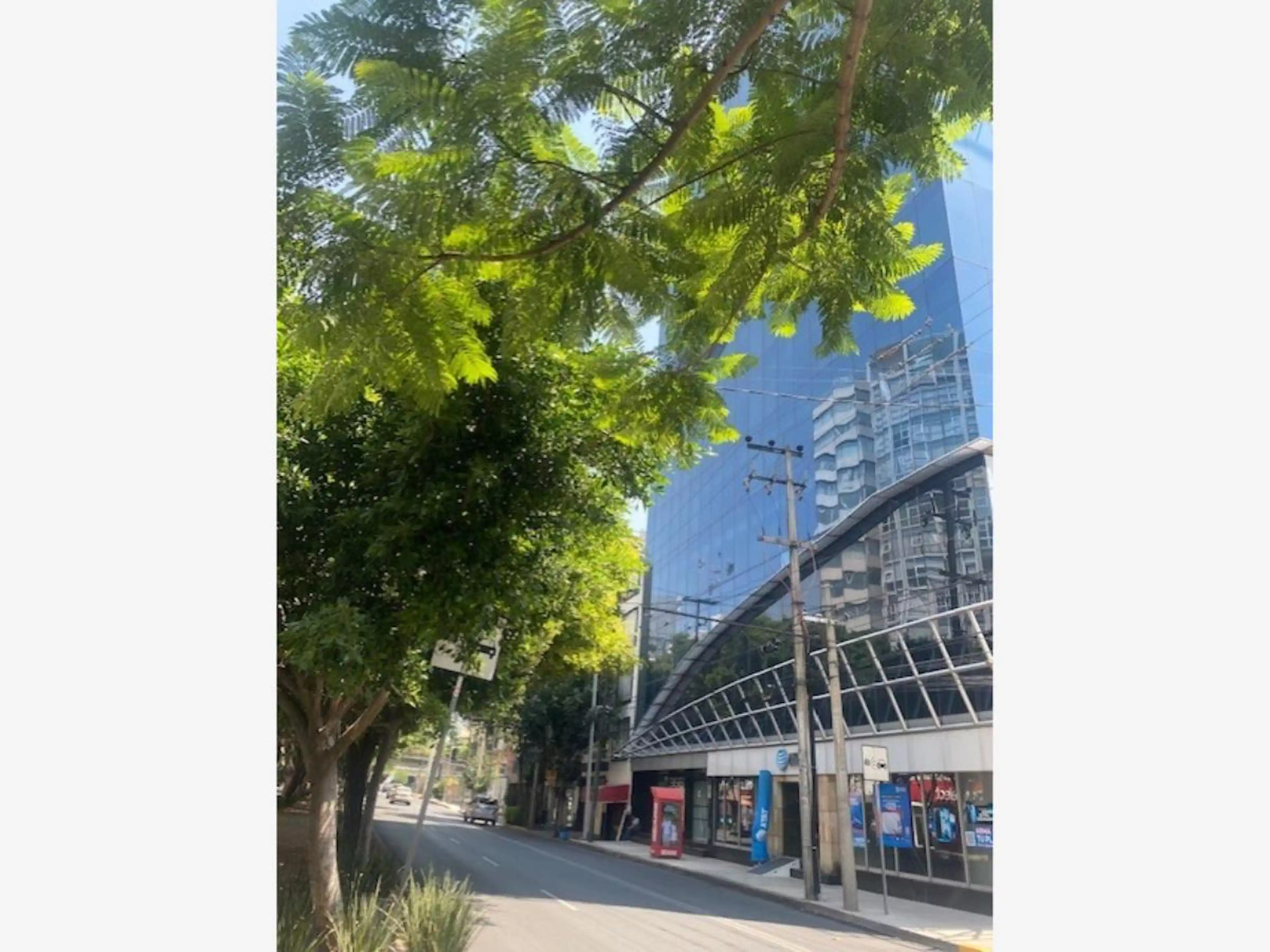 Av. Mariano Escobedo 1