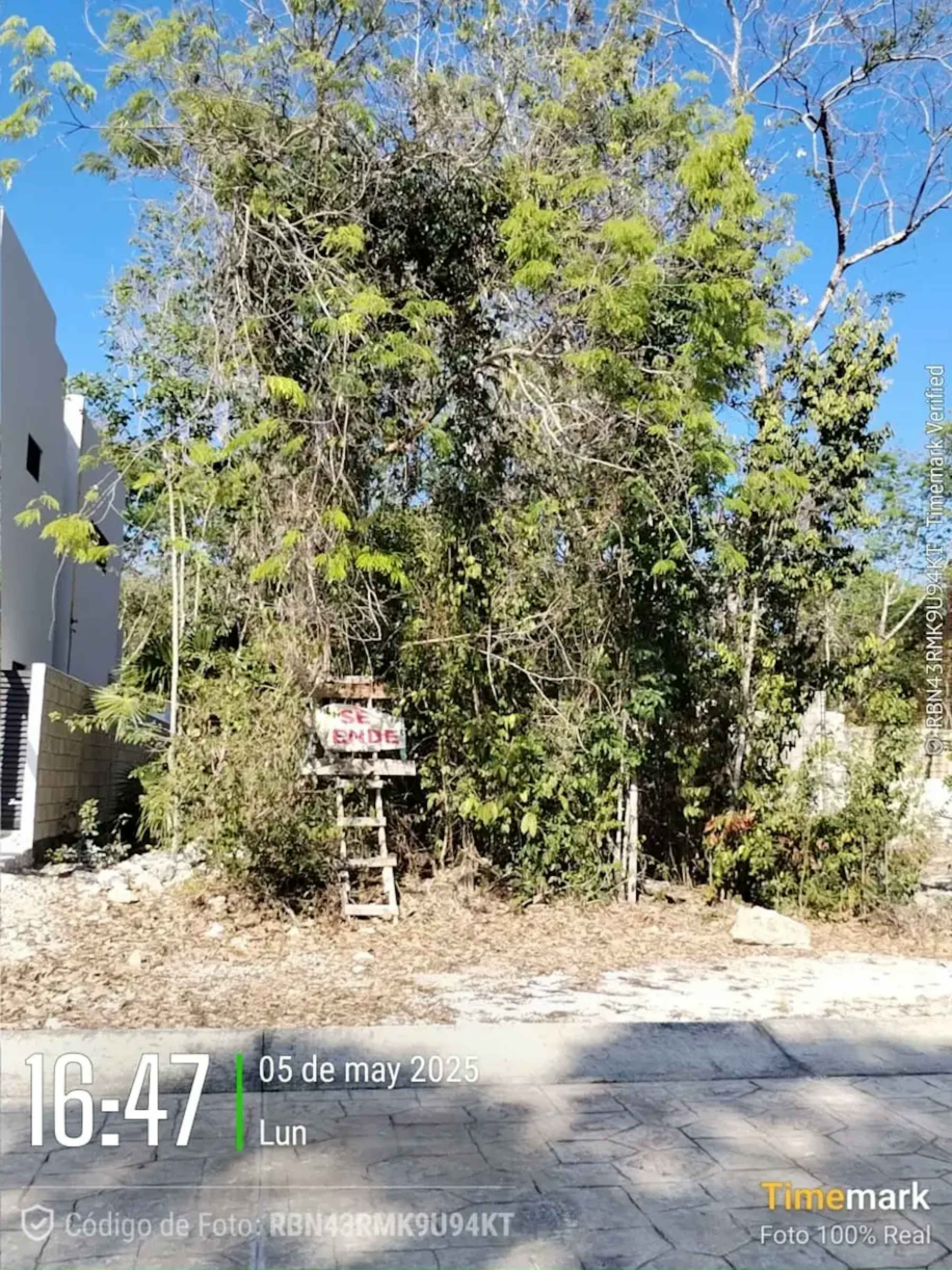 Terreno En Venta En Ciudad Mayakoba, Solidaridad, Quintana Roo
