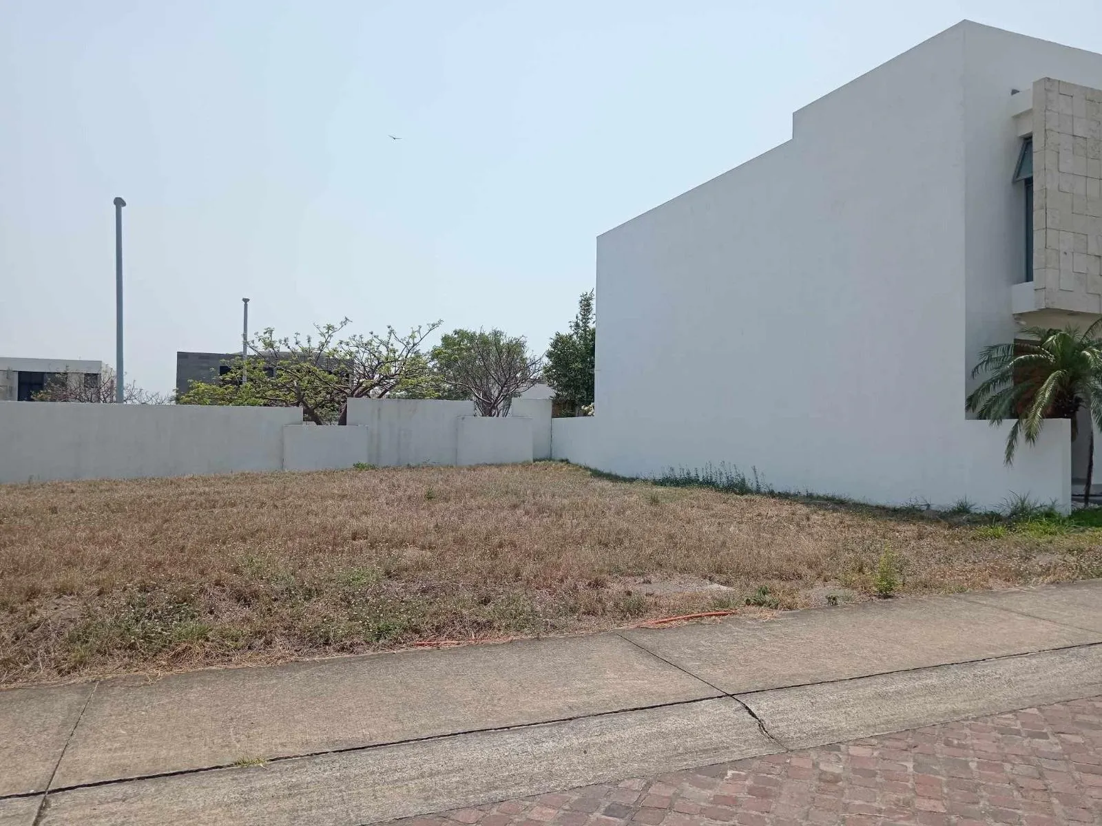 Terreno Spot2