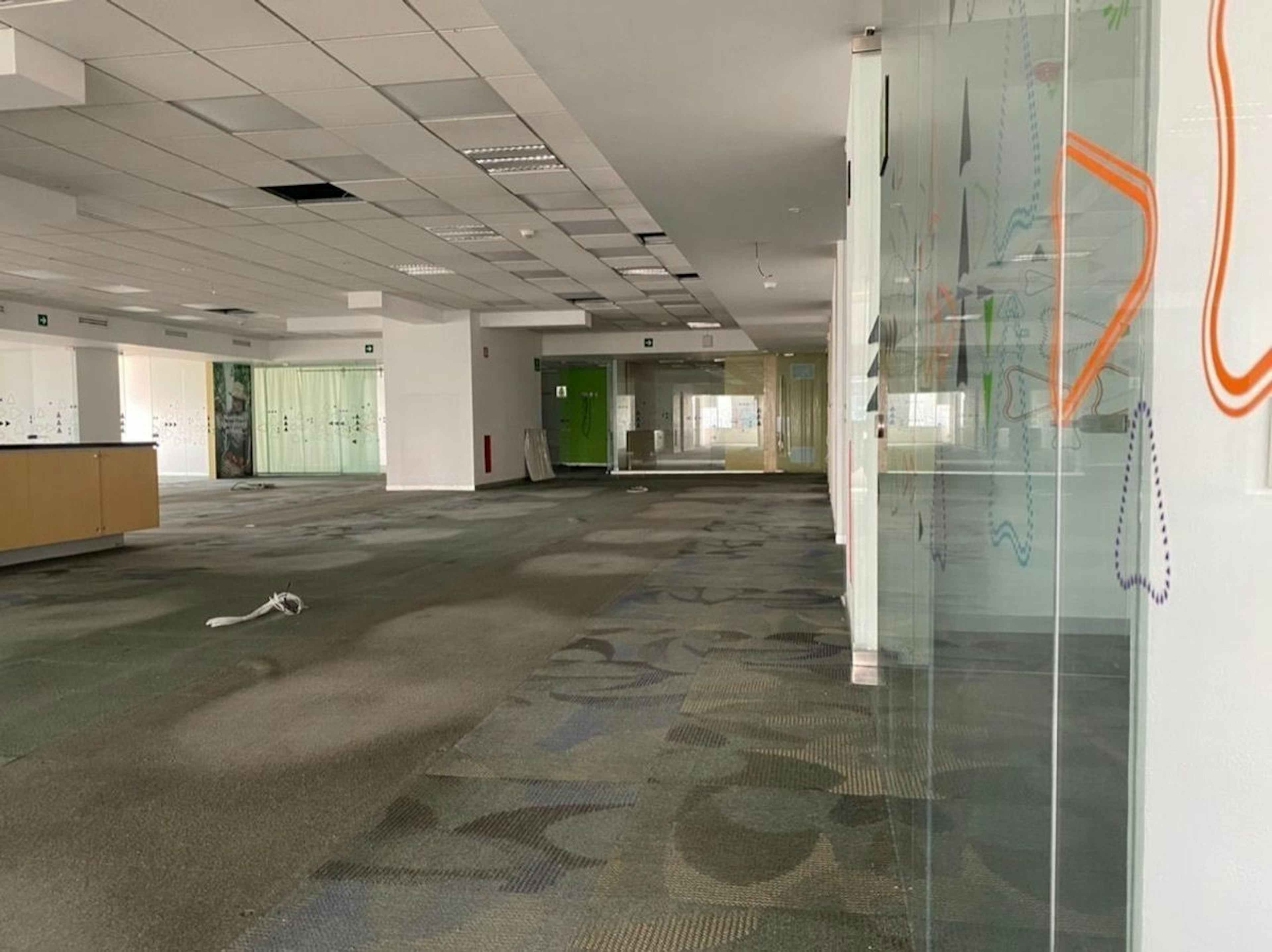 Avenida Insurgentes Sur 800