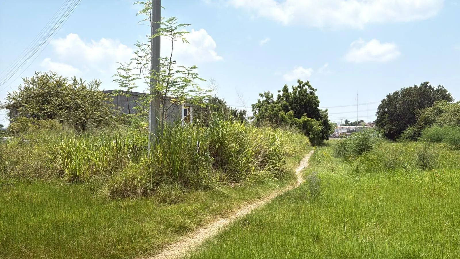 Terreno Spot2