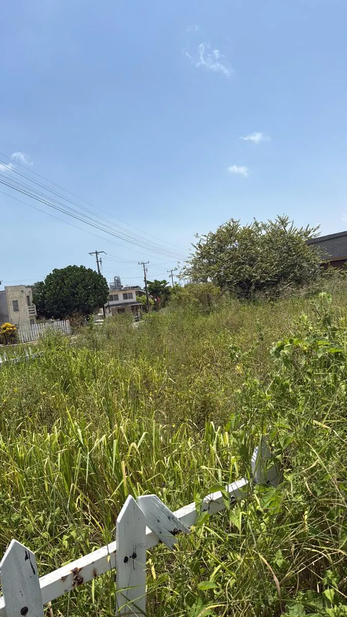 Terreno Spot2