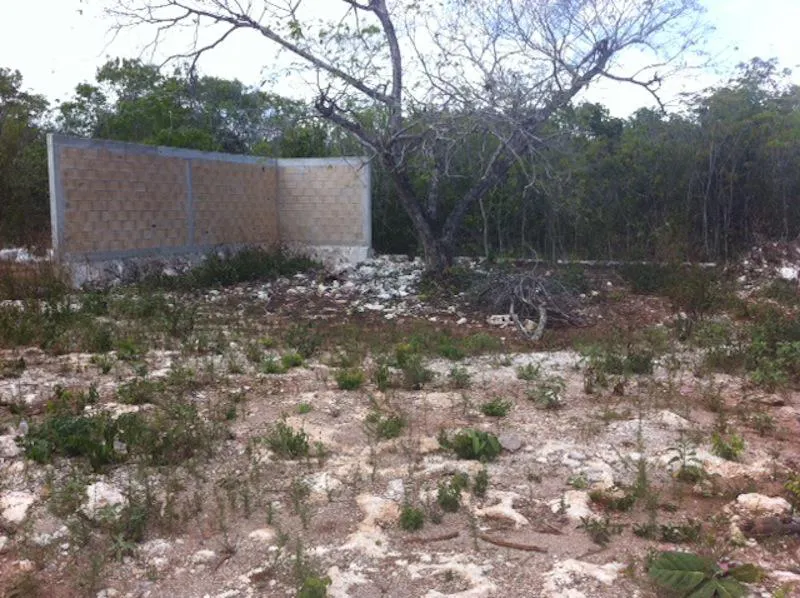 Terreno Spot2