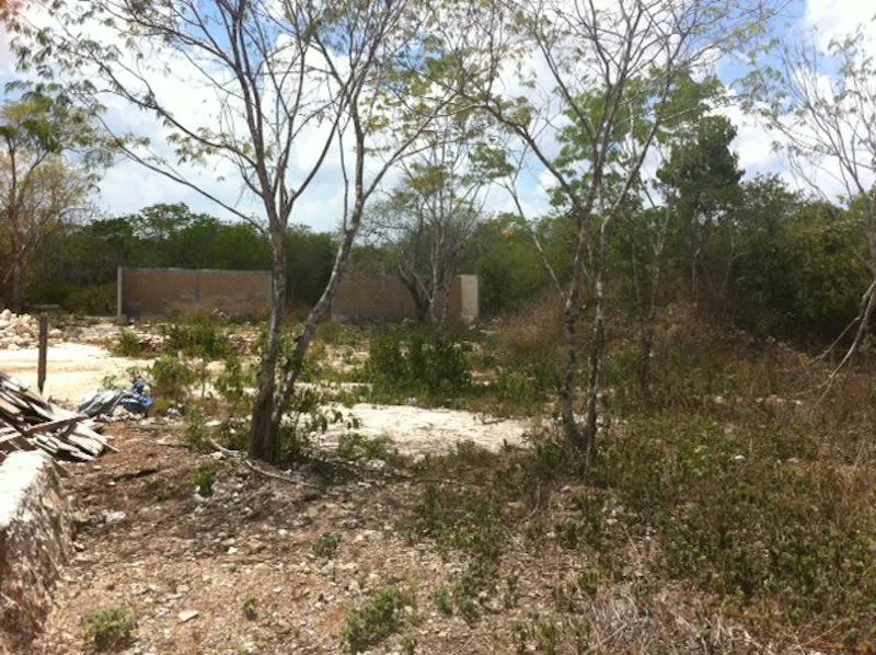 Terreno Spot2