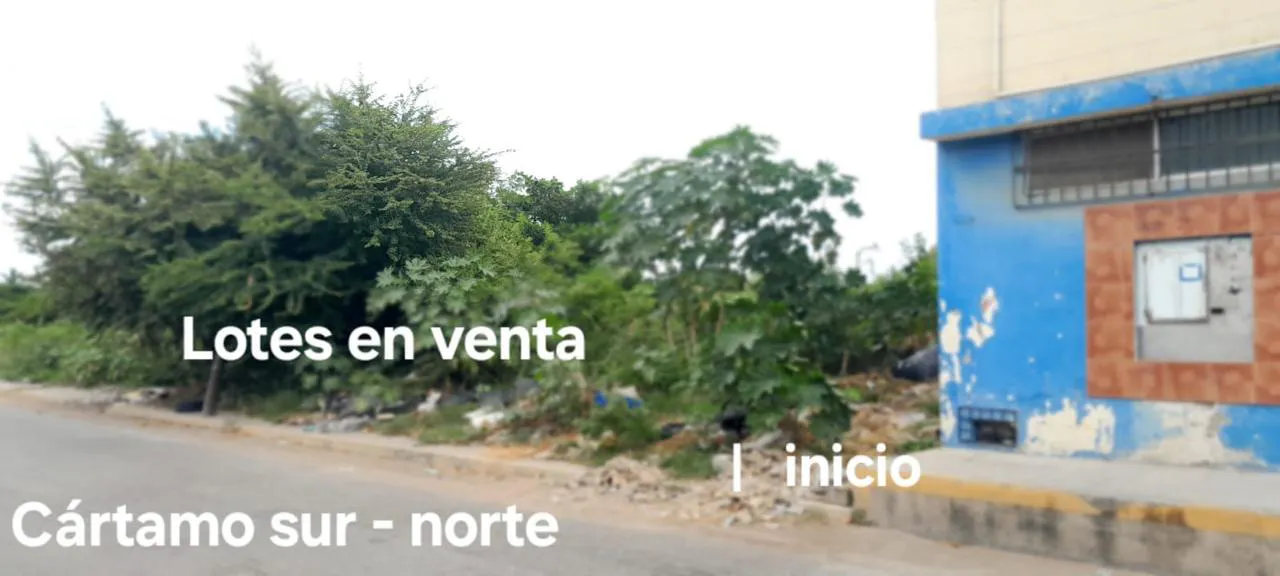 Terreno Spot2