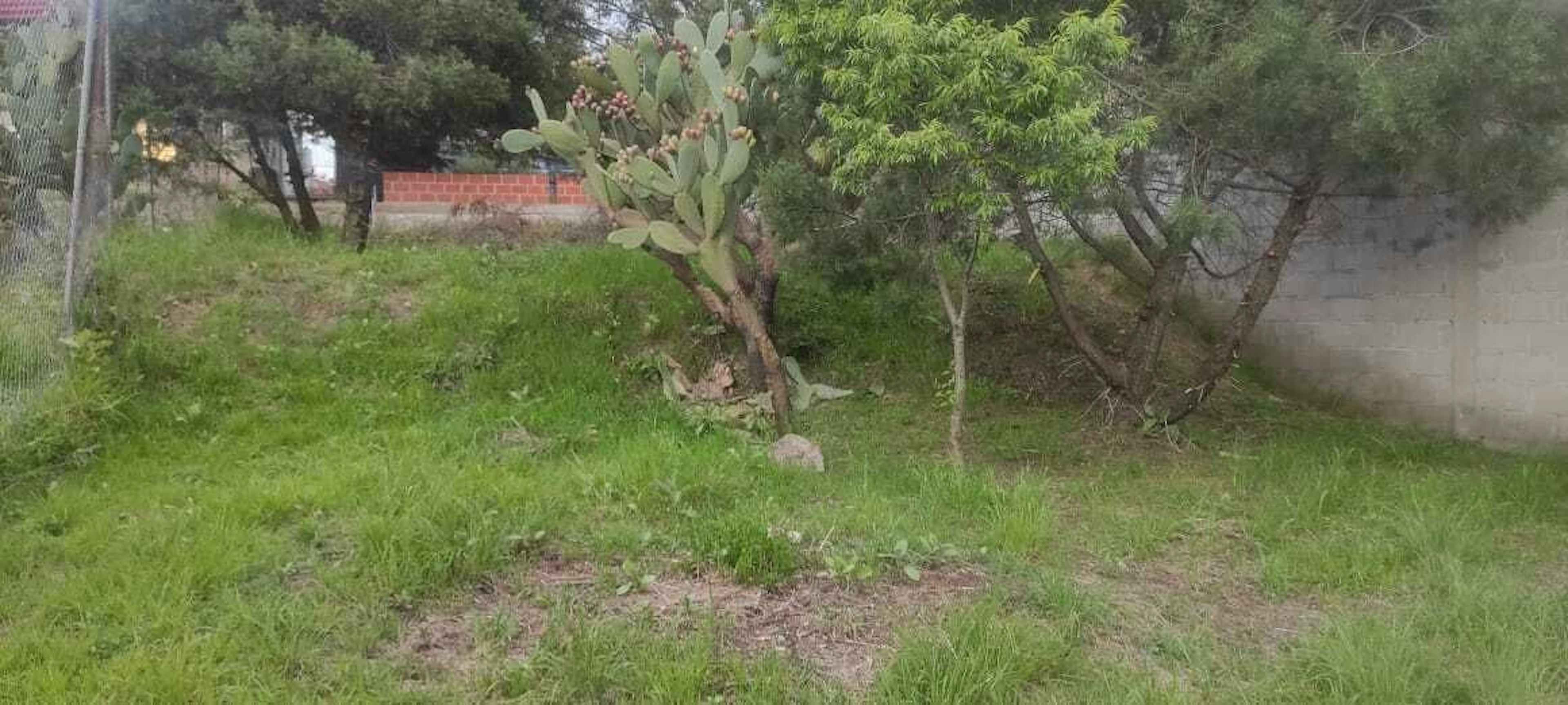Terreno  En Venta En Tlaxcala Atlihuetzia