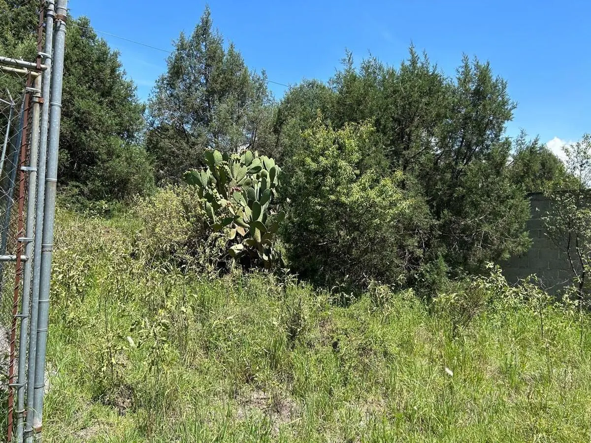 Terreno Spot2