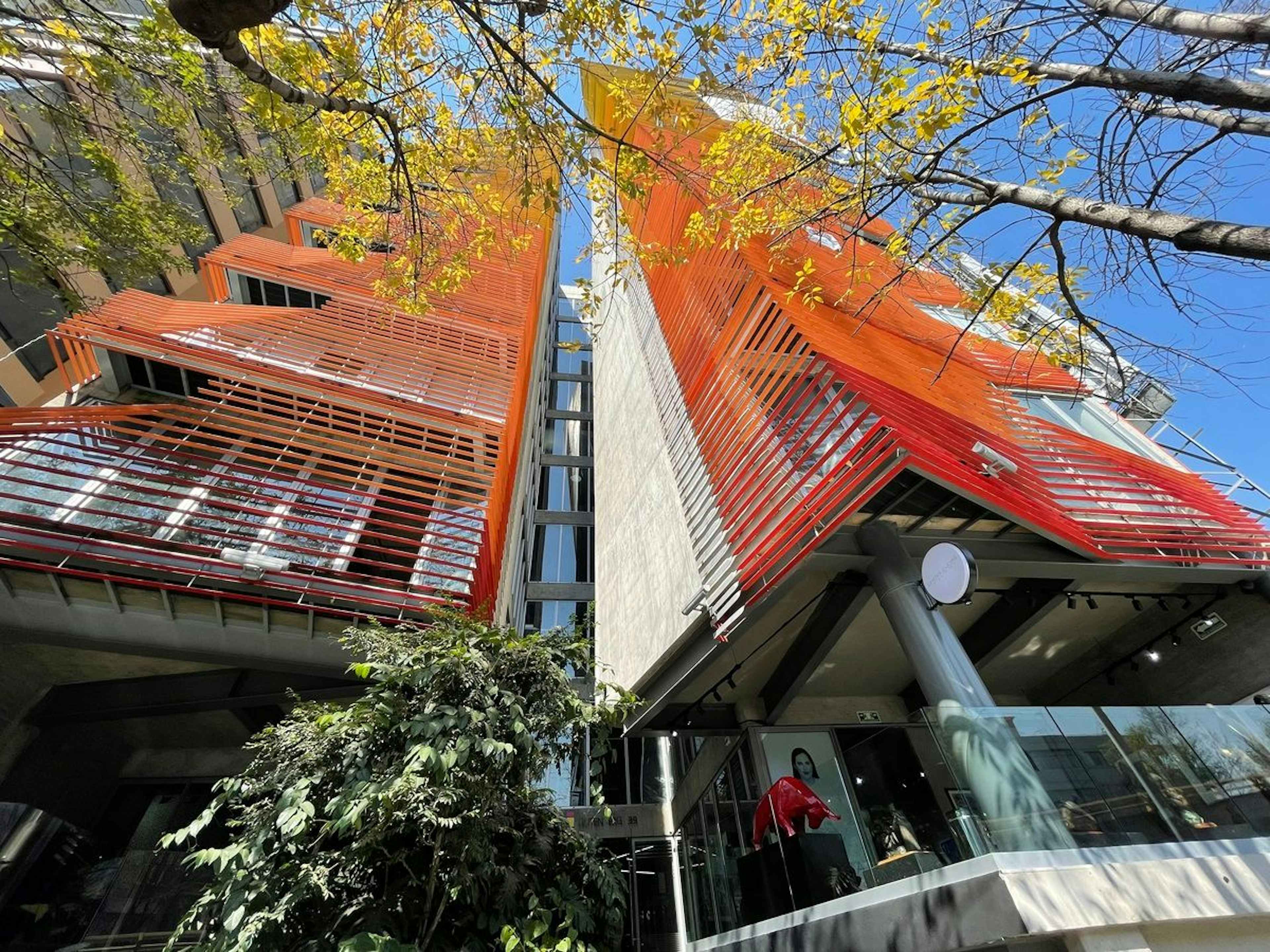 Corporativo En Colonia Veronica