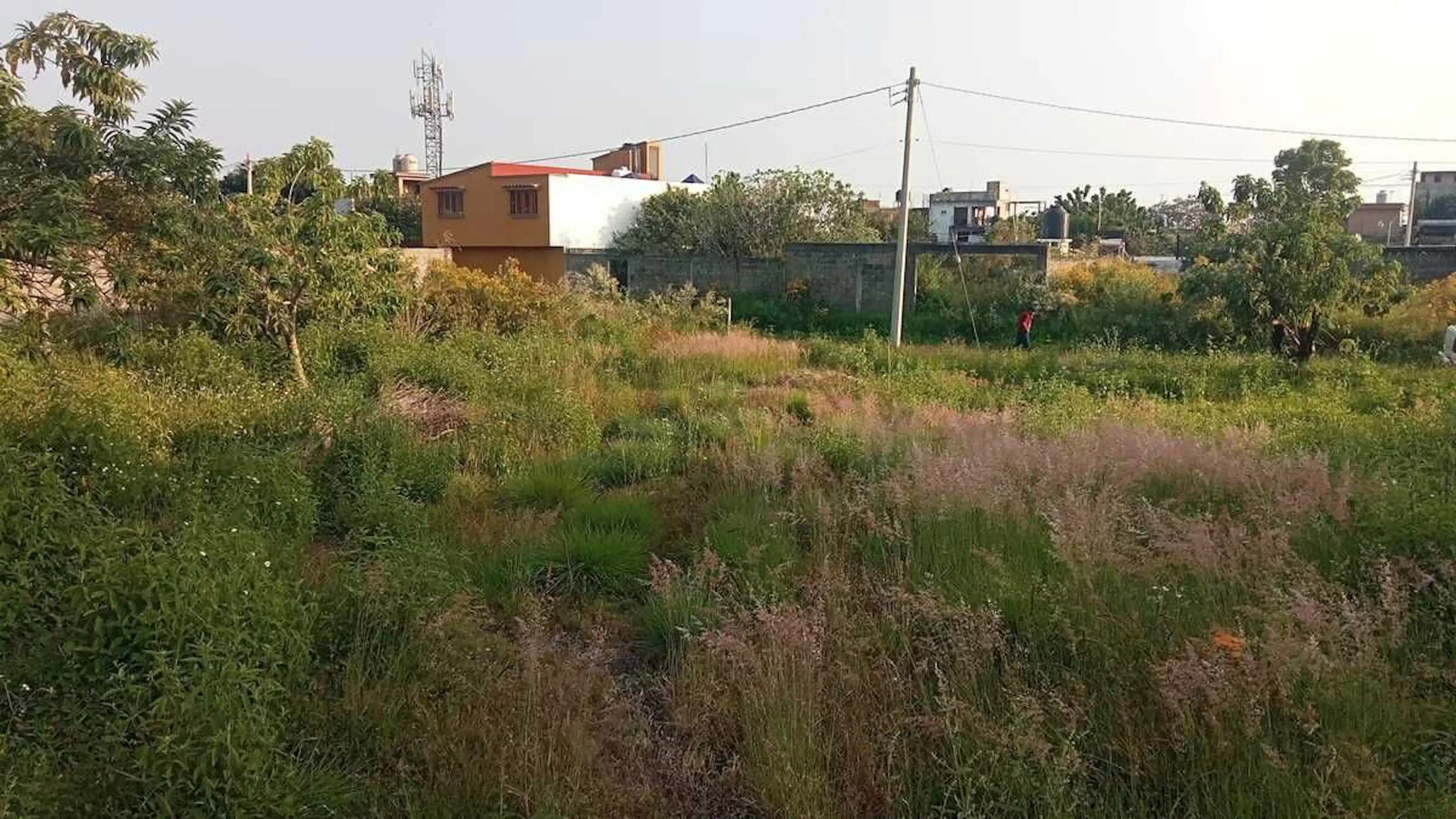 Terreno En Tecomulco Morelos