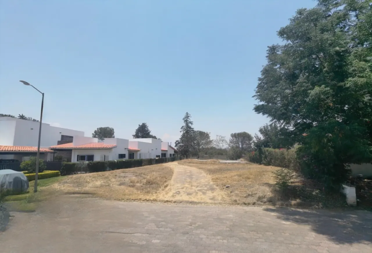 Terreno Spot2