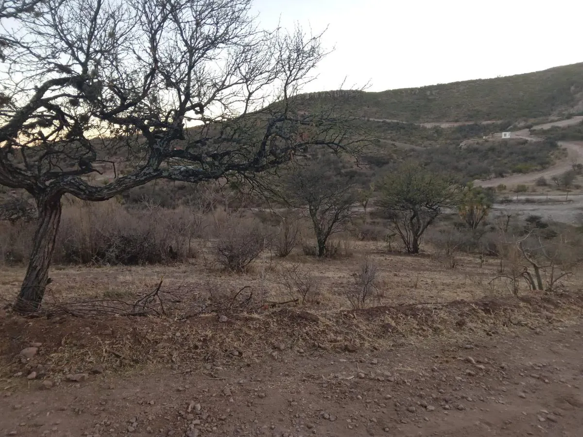 Terreno Spot2