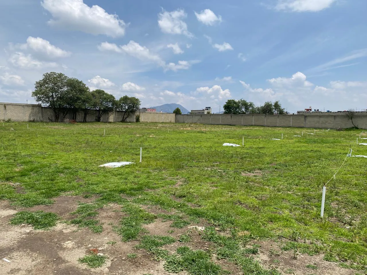 Terreno Spot2
