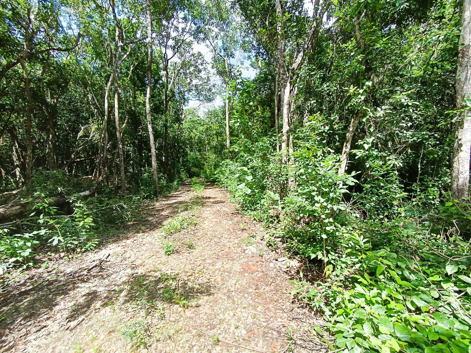Terreno Spot2