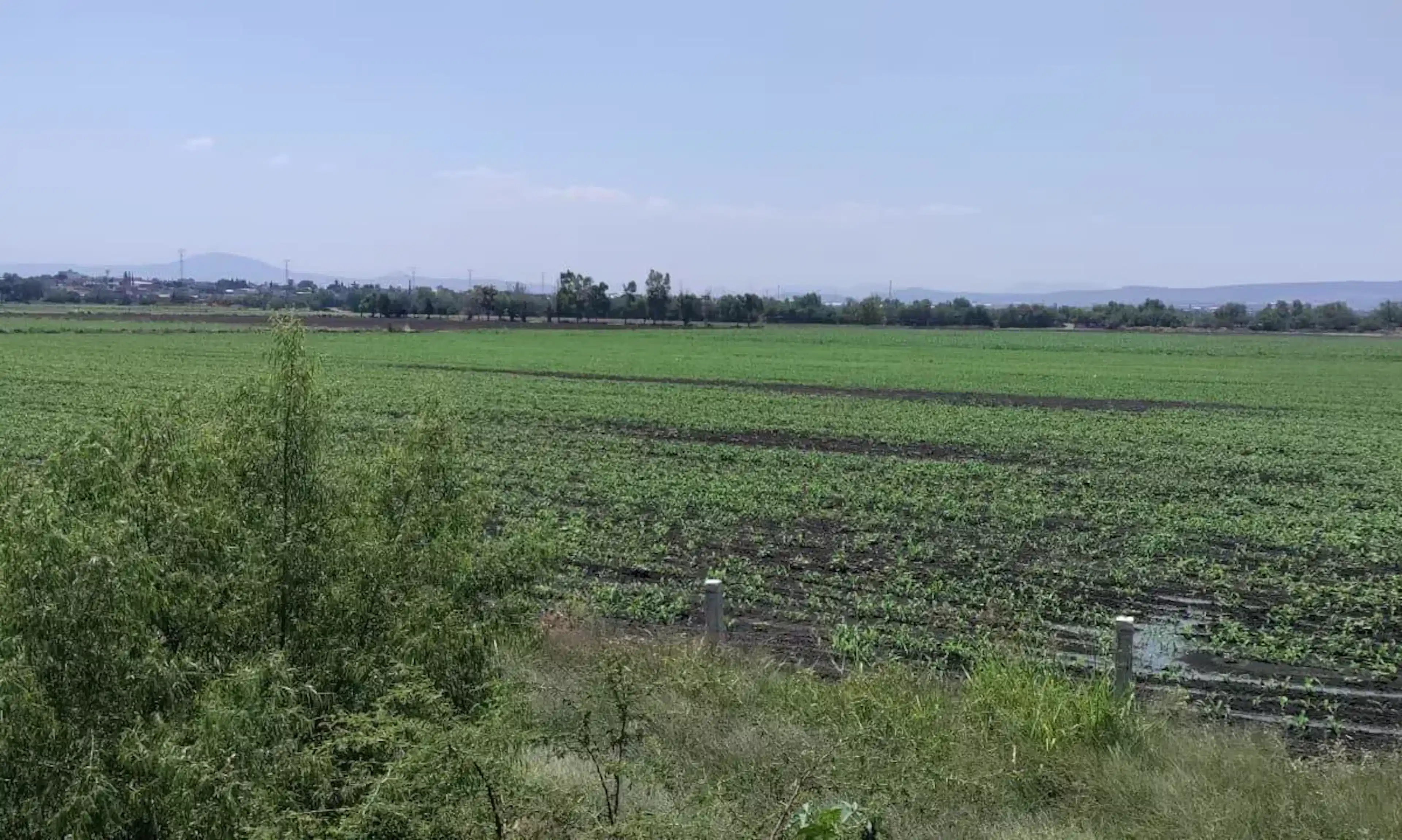Terreno en venta en Hacienda Castillo, Apaseo El Grande, Guanajuato